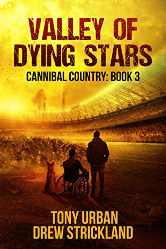 Valley of Dying Stars book cover