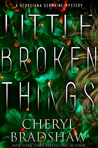 Little Broken Things book cover