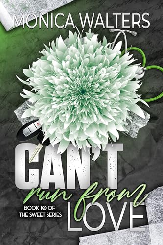 Can't Run From Love book cover