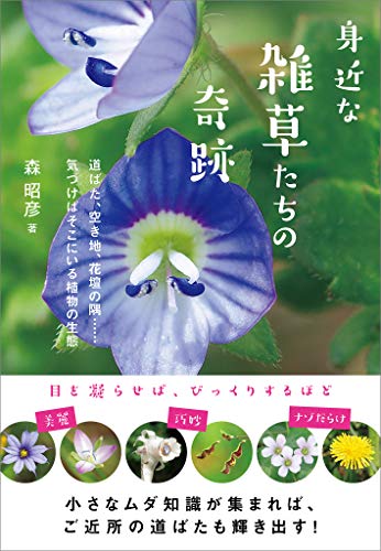 身近な雑草たちの奇跡　道ばた、空き地、花壇の隅……気づけばそこにいる植物の生態
