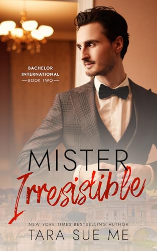 Mister Irresistible book cover