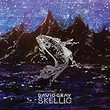 Skellig
