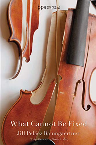 What Cannot Be Fixed book cover
