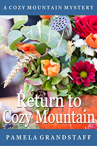 Return to Cozy Mountain book cover