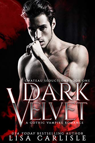 Dark Velvet book cover