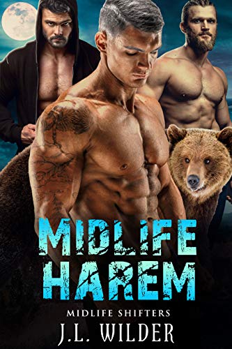Midlife Harem book cover