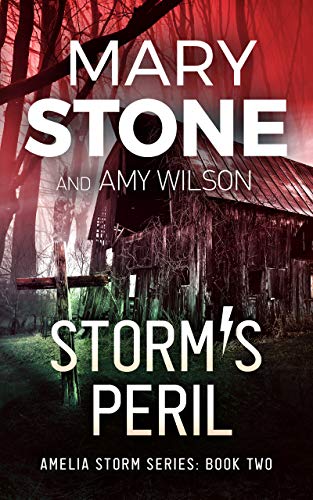 Storm's Peril book cover