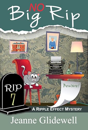 No Big Rip book cover