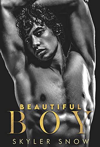 Beautiful Boy book cover
