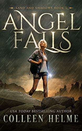 Angel Falls book cover