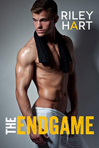 The Endgame book cover