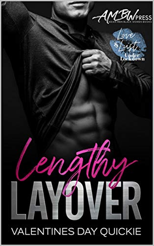 Lengthy Layover book cover
