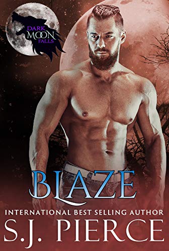 Blaze book cover