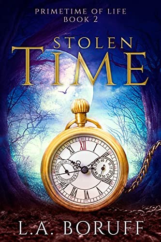 Stolen Time book cover