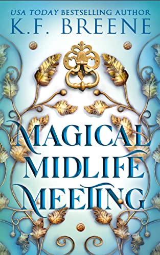 Magical Midlife Meeting book cover
