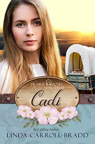 Cadi book cover