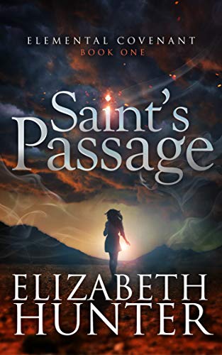 Saint's Passage book cover