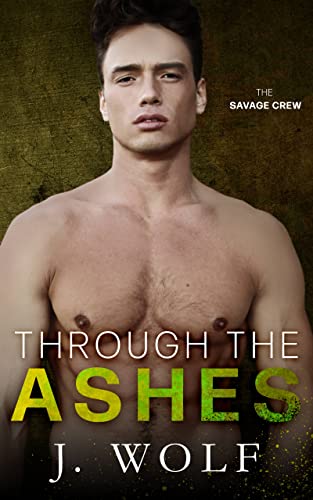 Through the Ashes book cover