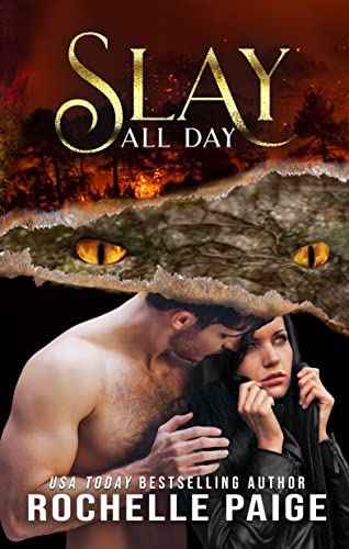 Slay All Day book cover