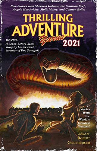 Thrilling Adventure Yarns 2021 book cover