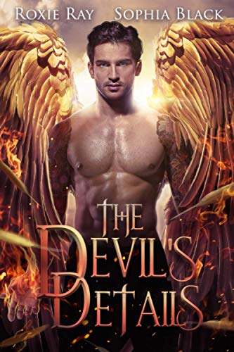 The Devil's Details book cover