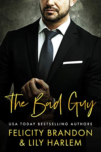 The Bad Guy book cover