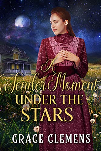 A Tender Moment Under the Stars book cover