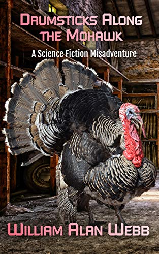 Drumsticks Along the Mohawk book cover