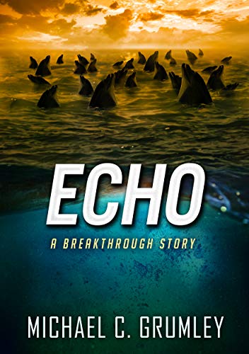 Echo cover