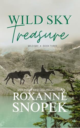 Wild Sky Treasure book cover