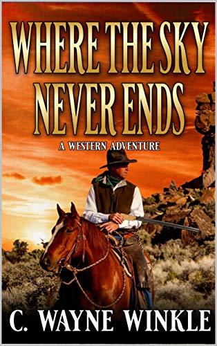 Where The Sky Never Ends book cover