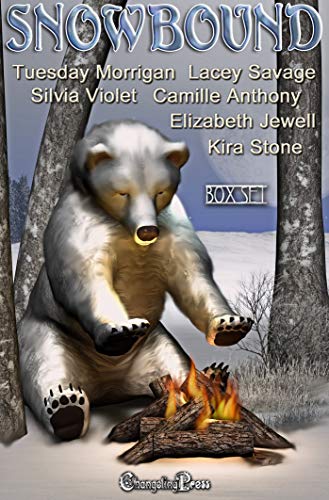 Melting Snowflake (By: Camille Anthony) cover