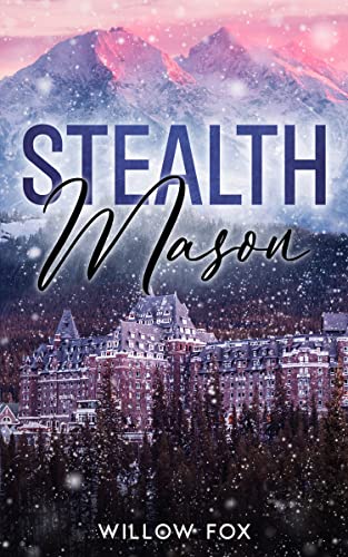 Stealth book cover