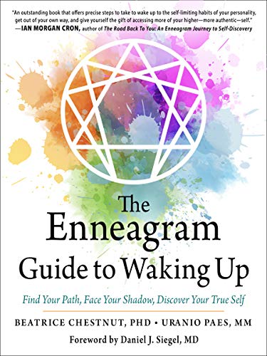 The Enneagram Guide to Waking Up book cover
