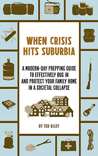 When Crisis Hits Suburbia book cover