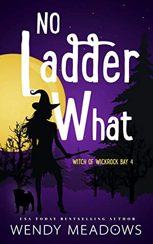 No Ladder What book cover