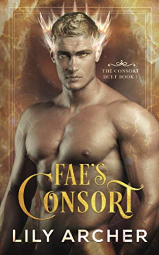 Fae's Consort book cover