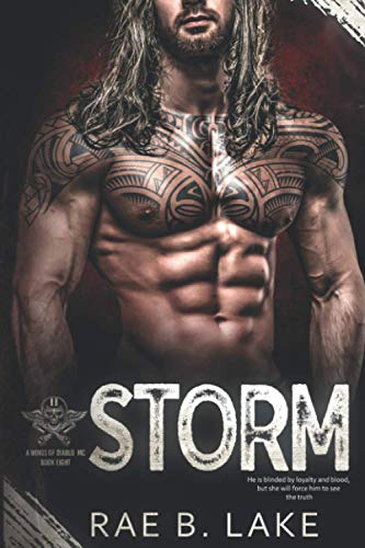 Storm book cover