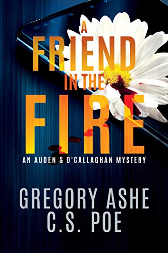 A Friend in the Fire cover