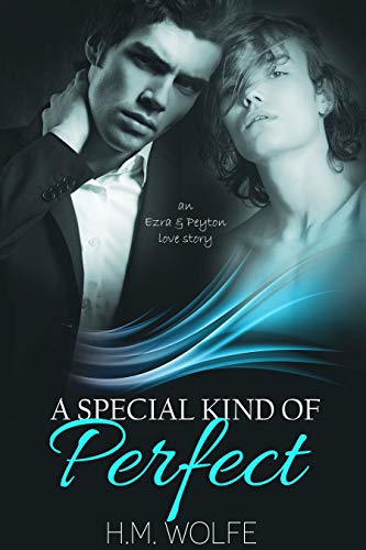 A Special Kind of Perfect book cover