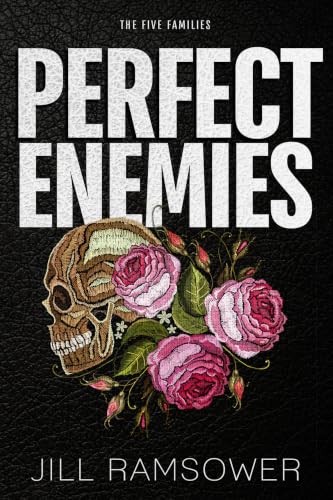 Perfect Enemies book cover