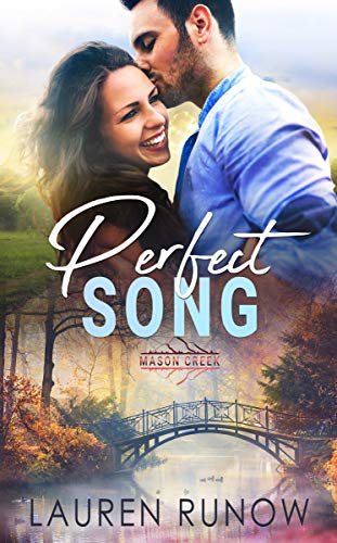 Perfect Song book cover