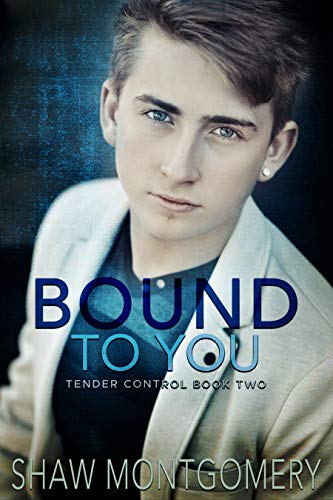 Bound to You book cover
