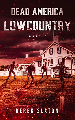 Lowcountry Pt. 8 cover