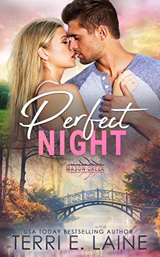 Perfect Night (By: Terri E. Laine) cover