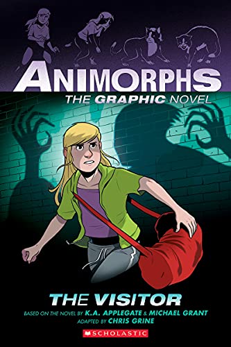 The Visitor: The Graphic Novel book cover
