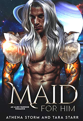 Maid For Him book cover