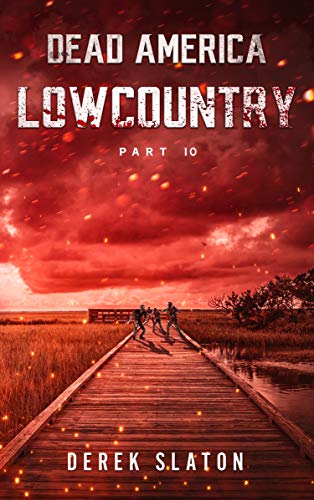 Lowcountry Pt. 10 book cover