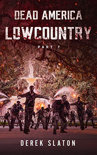 Lowcountry Pt. 7 cover