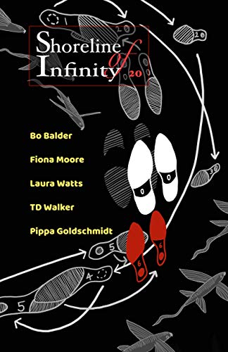 Shoreline of Infinity 20 book cover